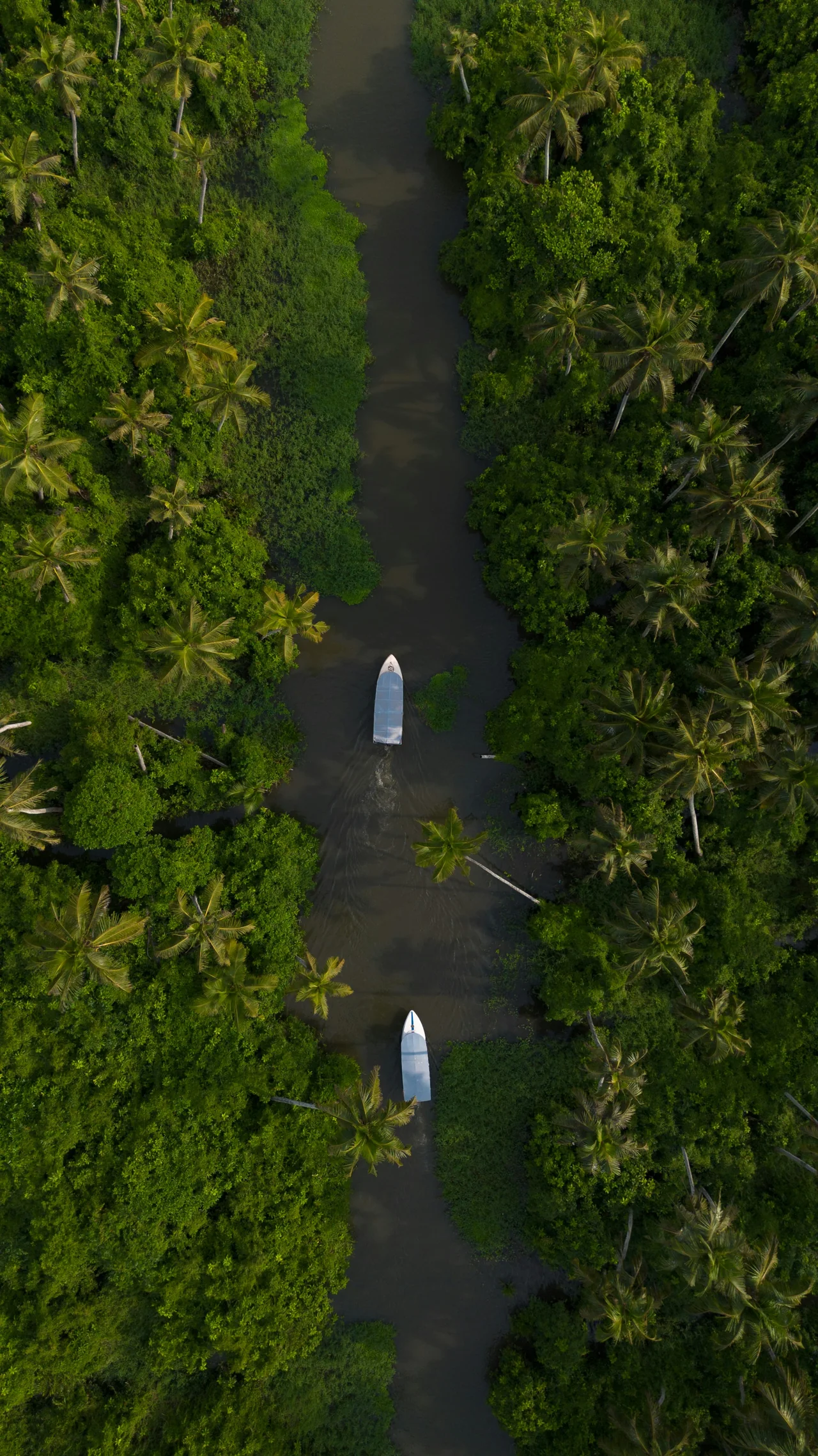 Kumarakom Slow Family Break